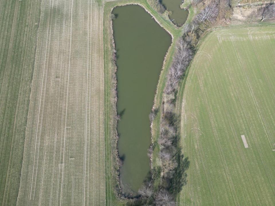 Birkweiher