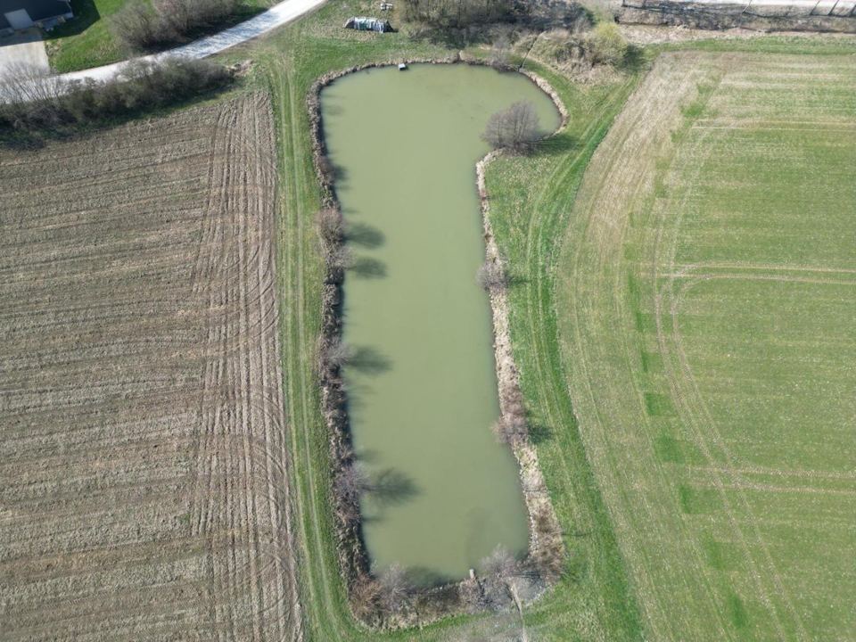 Roßkopfweiher